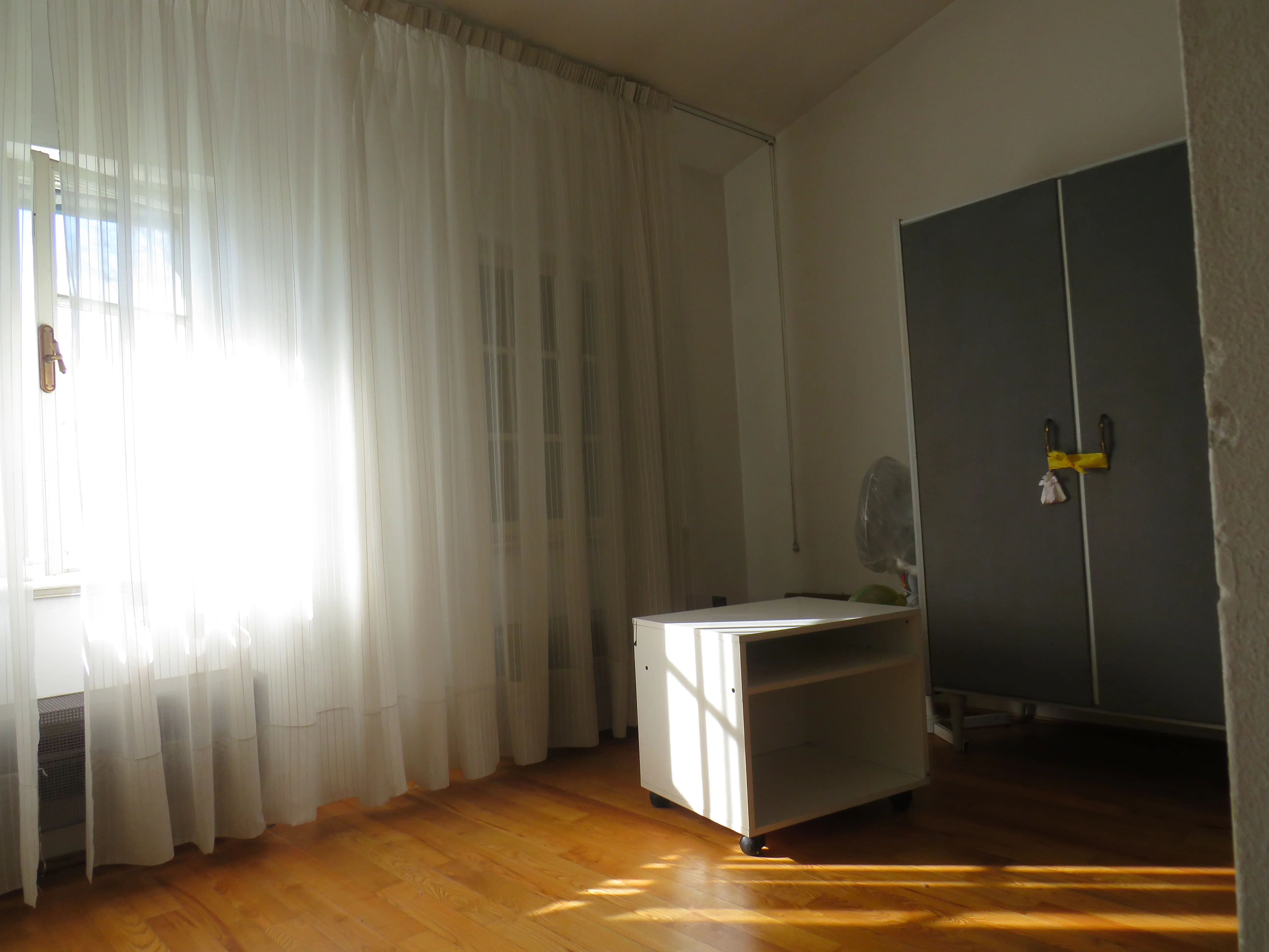 Immagine 15